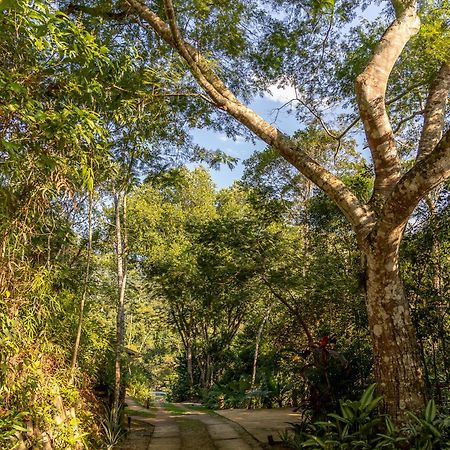 La Luciole Ecolodge Paraty Exterior photo