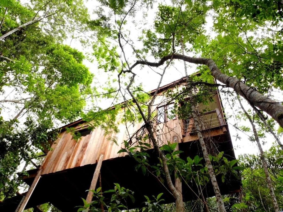 La Luciole Ecolodge Paraty Exterior photo